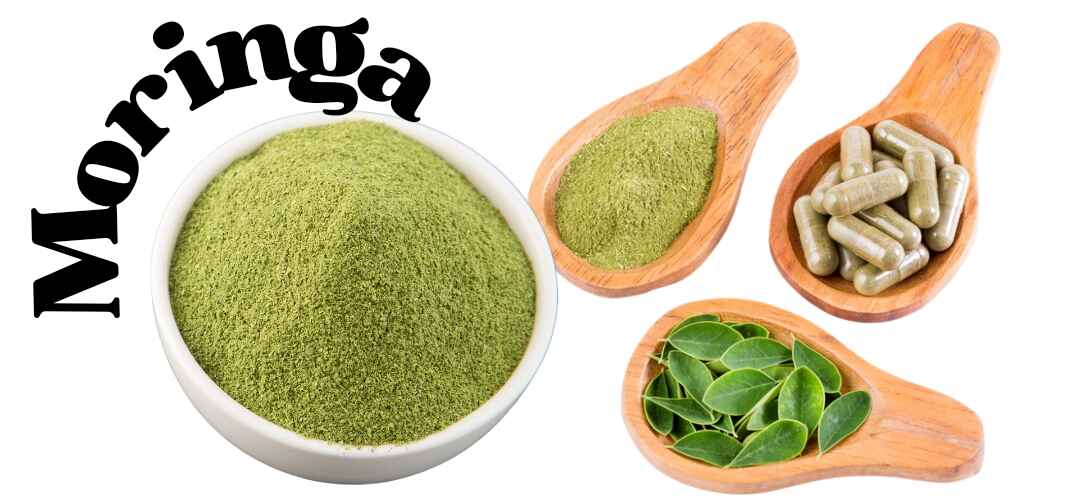 Application Field Of Moringa Leaf Extract Powder Application Field Of Moringa Leaf Extract Powder